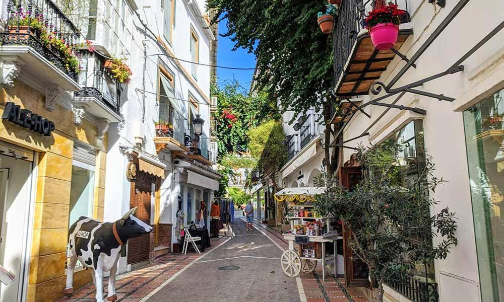 Centro Con Piscina * Marbella